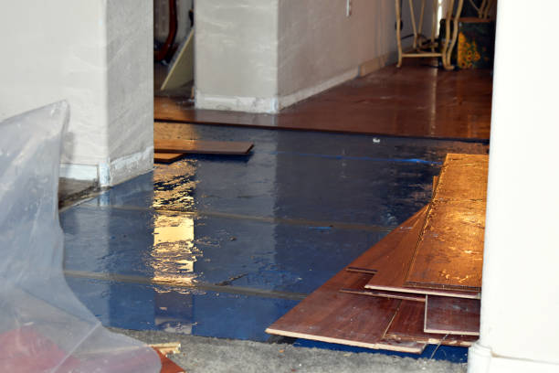 Professional Basement Flood Cleanup technician working in Callery, PA